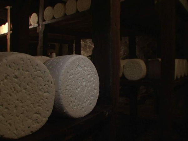 Épicerie Fine - Le roquefort
