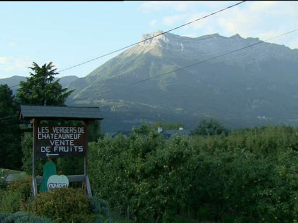 Épicerie Fine - Les poires de Savoie
