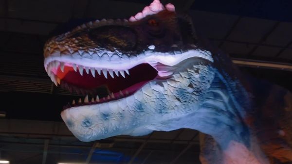 T-rex ranch - Persecución de raptor