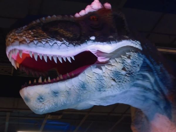 T-rex ranch - Persecución de raptor