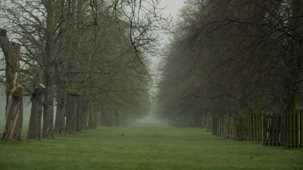 The Story of London - Parks