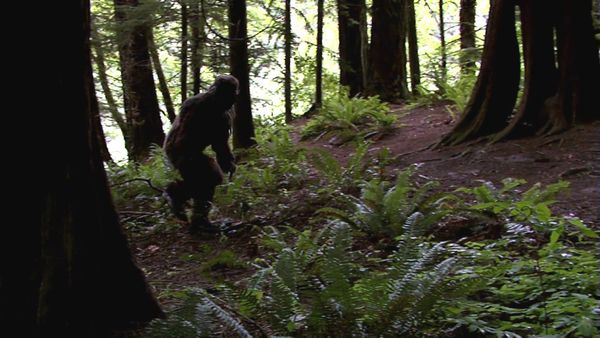 Unsealed Conspiracy Files - Bigfoot