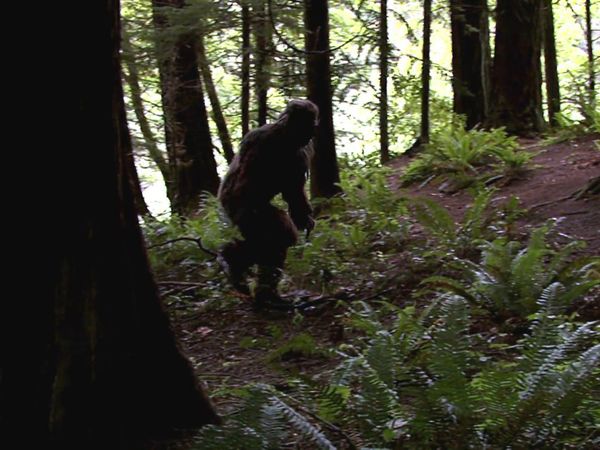 Unsealed Conspiracy Files - Bigfoot