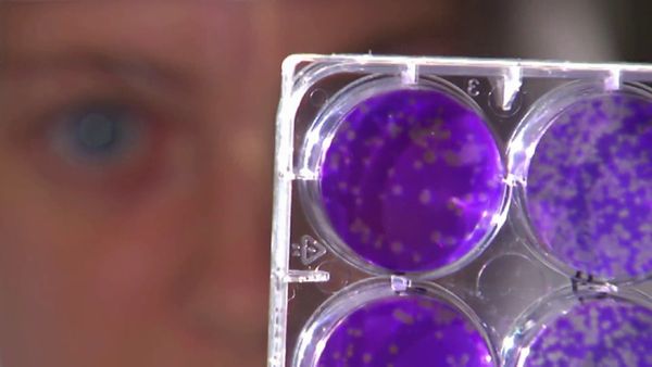 Unsealed Conspiracy Files - Human Cloning