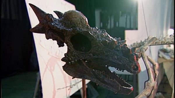 Auction Adventure - Fantastic Fossils