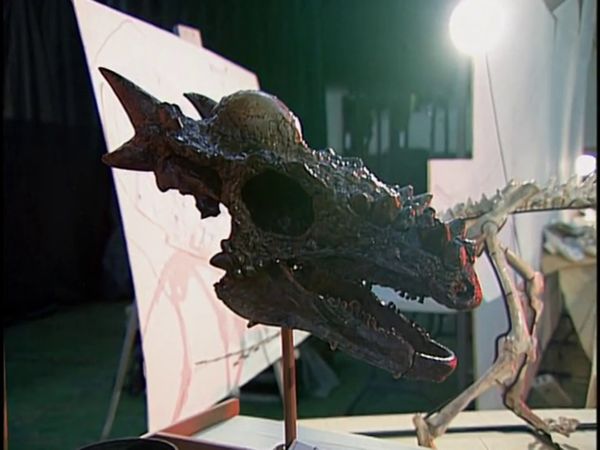 Auction Adventure - Fantastic Fossils