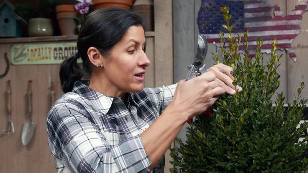This Old House Spring Spruce-Up Marathon - This Old House Spring Spruce-Up Episode 14
