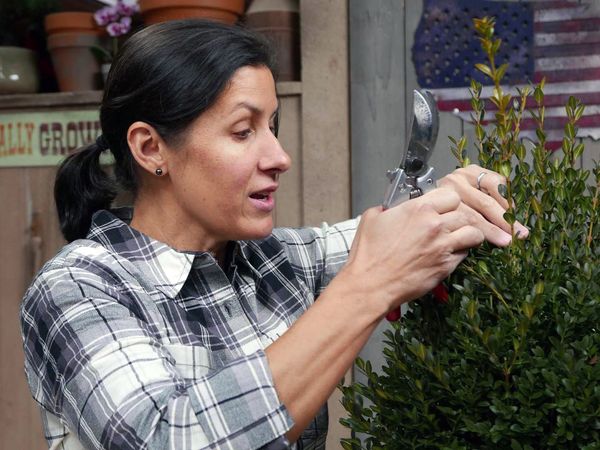 This Old House Spring Spruce-Up Marathon - This Old House Spring Spruce-Up Episode 14