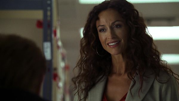 CSI: Miami en español - El gran hermano