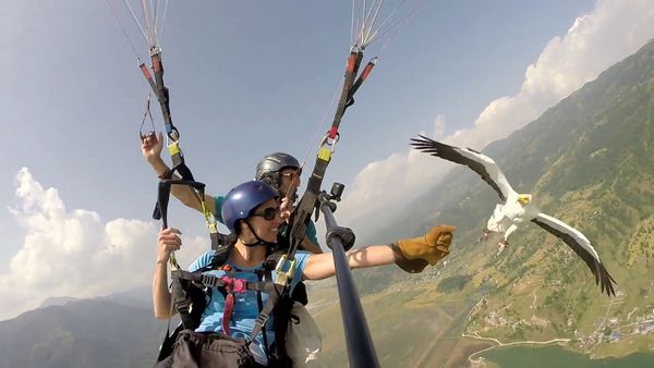 Coolest Places on Earth - Coolest Animal Lover Vacation