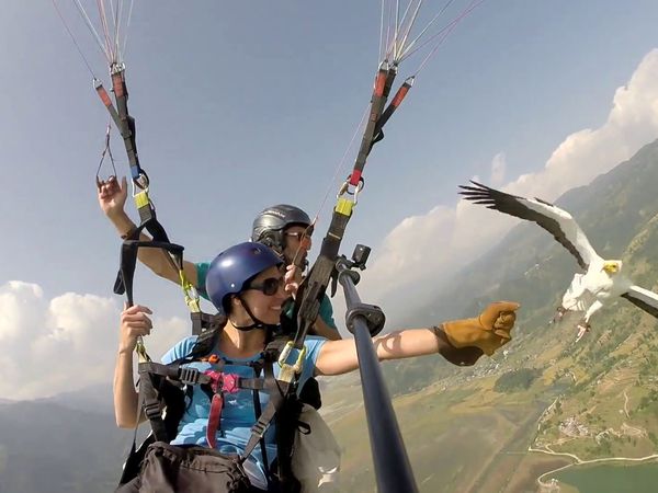 Coolest Places on Earth - Coolest Animal Lover Vacation