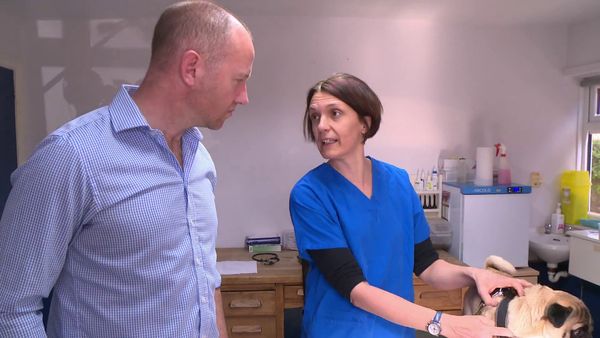 The Yorkshire Vet - Episode 6