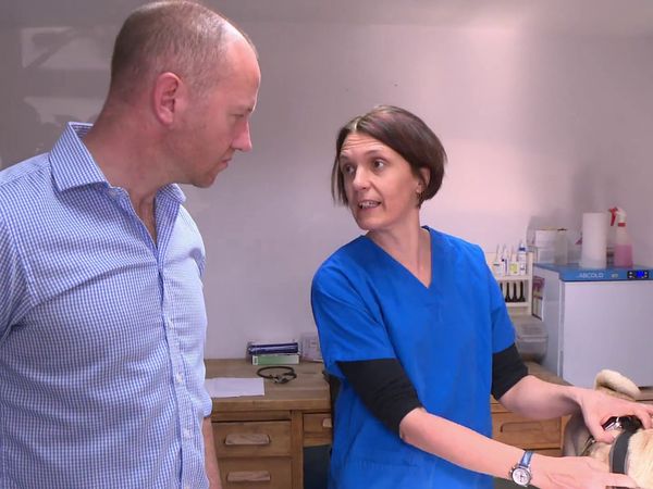 The Yorkshire Vet - Episode 6