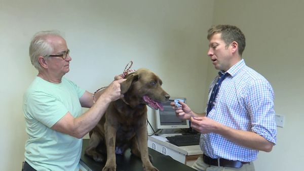 The Yorkshire Vet - Episode 3