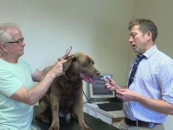 The Yorkshire Vet - Episode 3