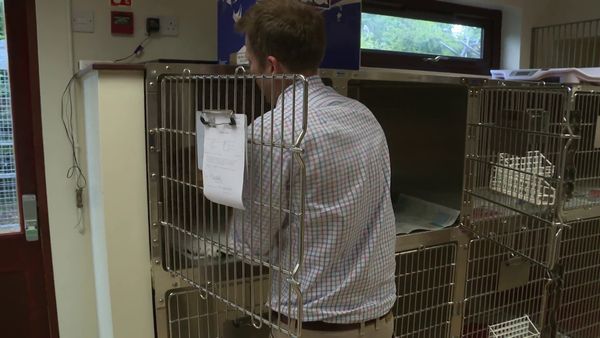 The Yorkshire Vet - Episode 1
