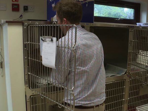 The Yorkshire Vet - Episode 1