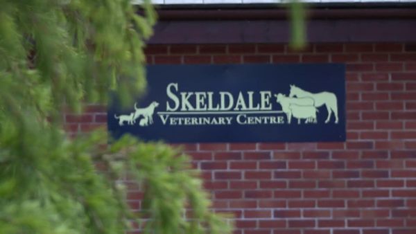 The Yorkshire Vet - Episode 2