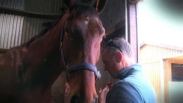 The Yorkshire Vet - Episode 5