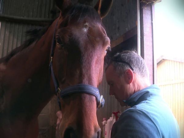 The Yorkshire Vet - Episode 5