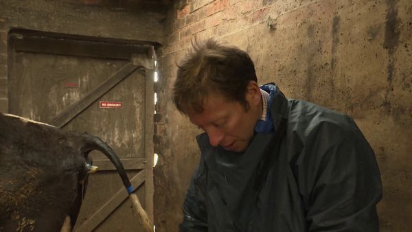 The Yorkshire Vet - Episode 9