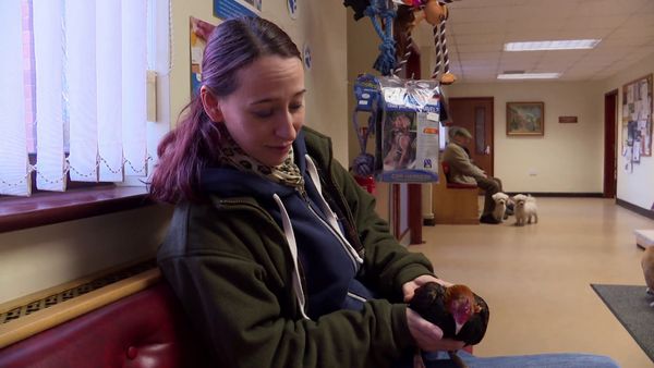 The Yorkshire Vet - Episode 7