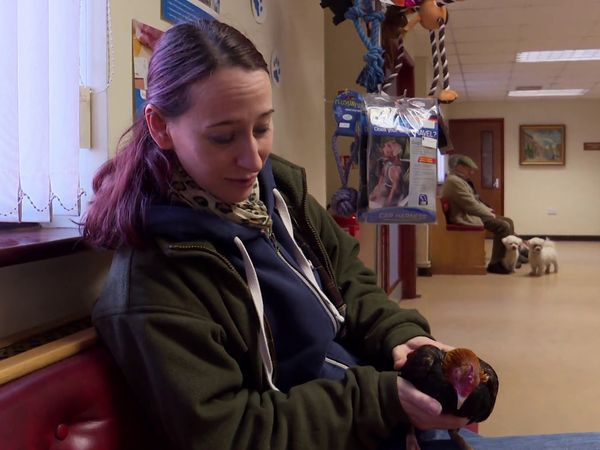 The Yorkshire Vet - Episode 7