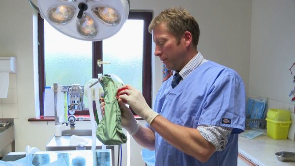 The Yorkshire Vet - Episode 6