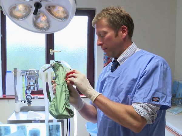 The Yorkshire Vet - Episode 6