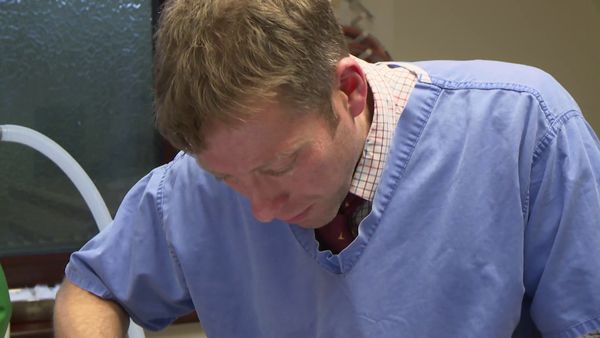 The Yorkshire Vet - Yorkshire Vet At Christmas Special