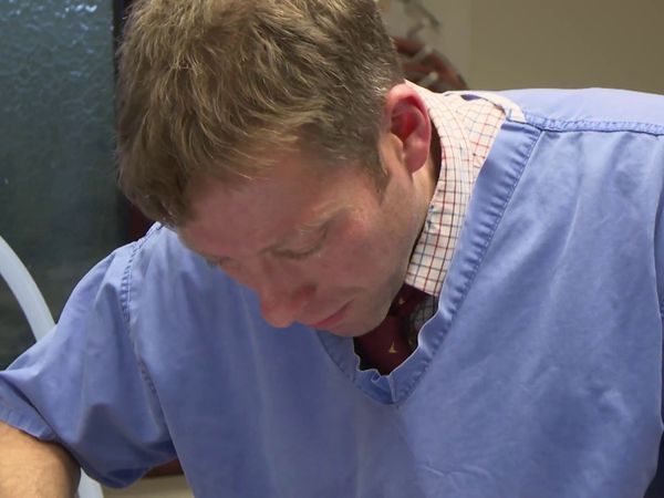 The Yorkshire Vet - Yorkshire Vet At Christmas Special