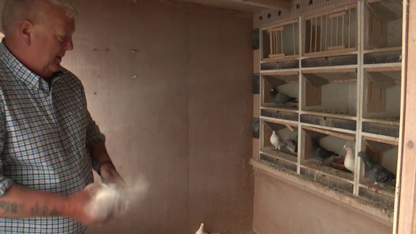 The Yorkshire Vet - Episode 4