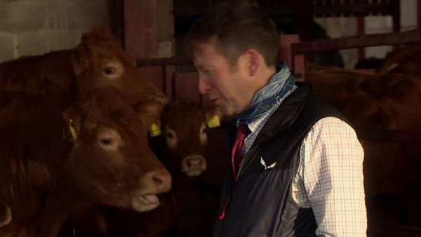 The Yorkshire Vet - Episode 1