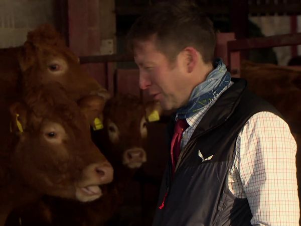 The Yorkshire Vet - Episode 1