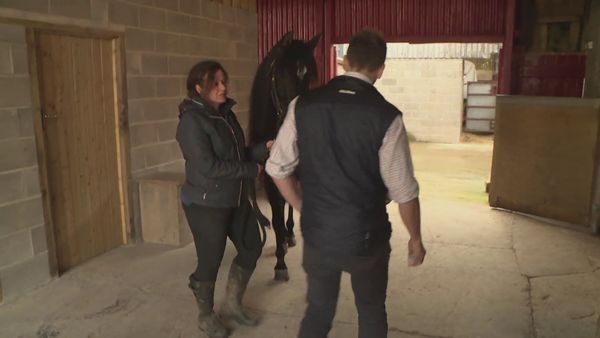 The Yorkshire Vet - Episode 4