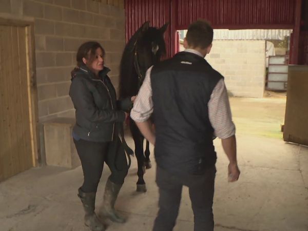 The Yorkshire Vet - Episode 4