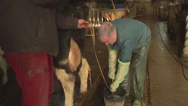 The Yorkshire Vet - Episode 2