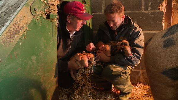 The Yorkshire Vet - Special Home Visits