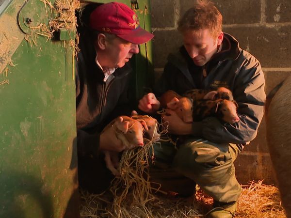 The Yorkshire Vet - Special Home Visits