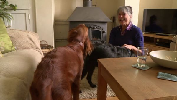 The Yorkshire Vet - Episode 5