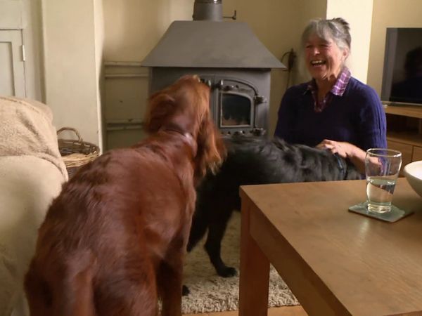 The Yorkshire Vet - Episode 5