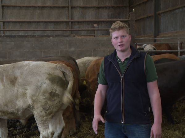 The Yorkshire Vet - All Farmers Great and Small