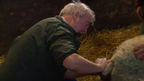 The Yorkshire Vet - Episode 6