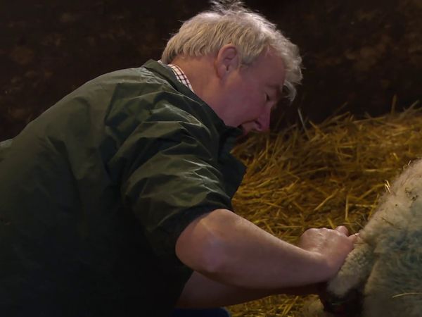 The Yorkshire Vet - Episode 6