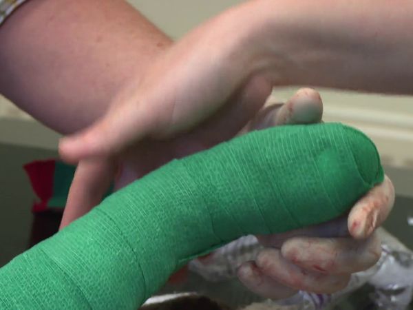 The Yorkshire Vet - Episode 1