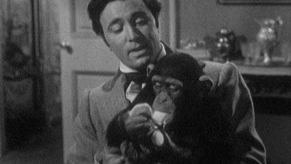 The Adventures of Jim Bowie - The Captain's Chimp