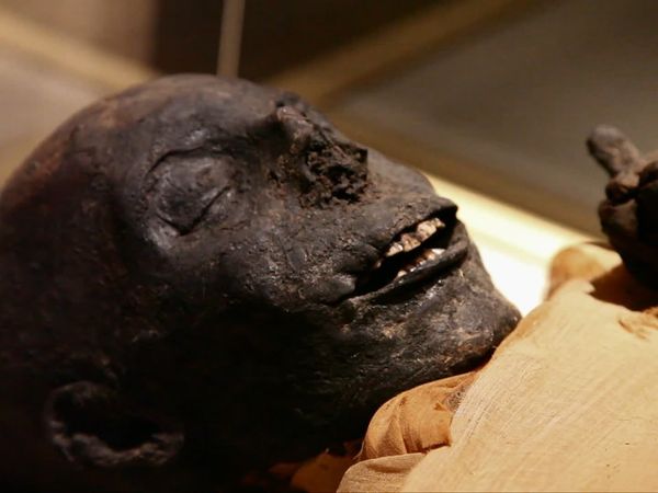 Secretos de los museos - Egipto