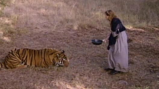 The Young Riders - A Tiger's Tale