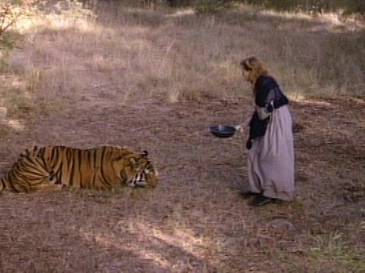 The Young Riders - A Tiger's Tale