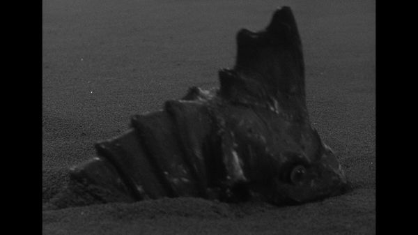 The Outer Limits: 1963 - The Invisible Enemy